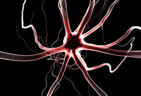 Causes of Fibromyalgia neurons