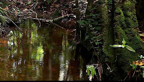 Source of the River Zambezi