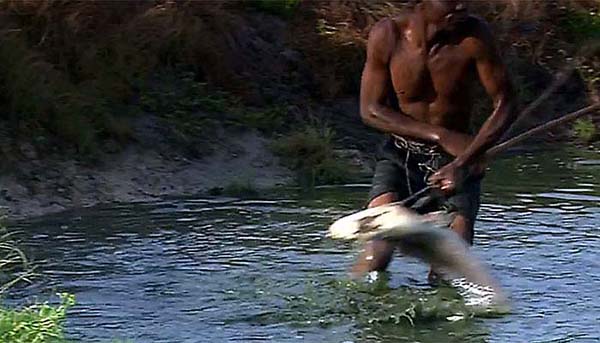 Fishing for catfish Zambezi River
