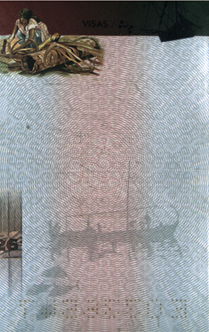 pasos maldivija